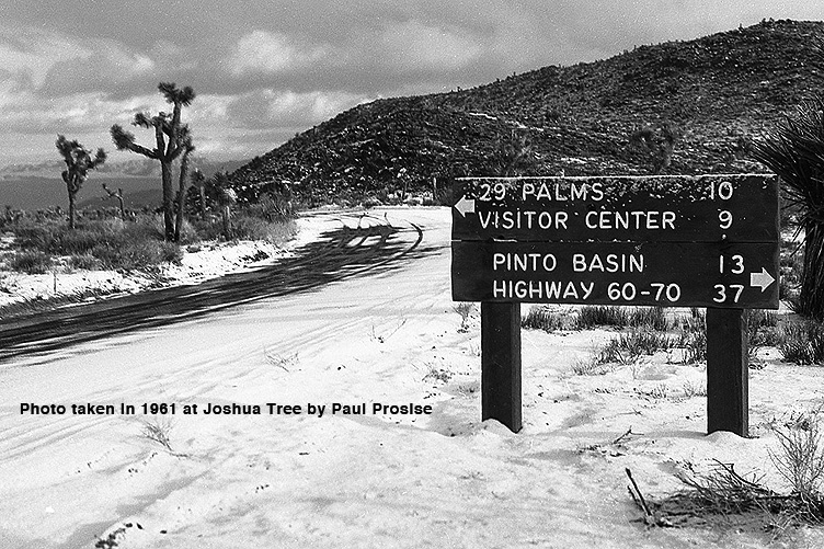 29 Palms