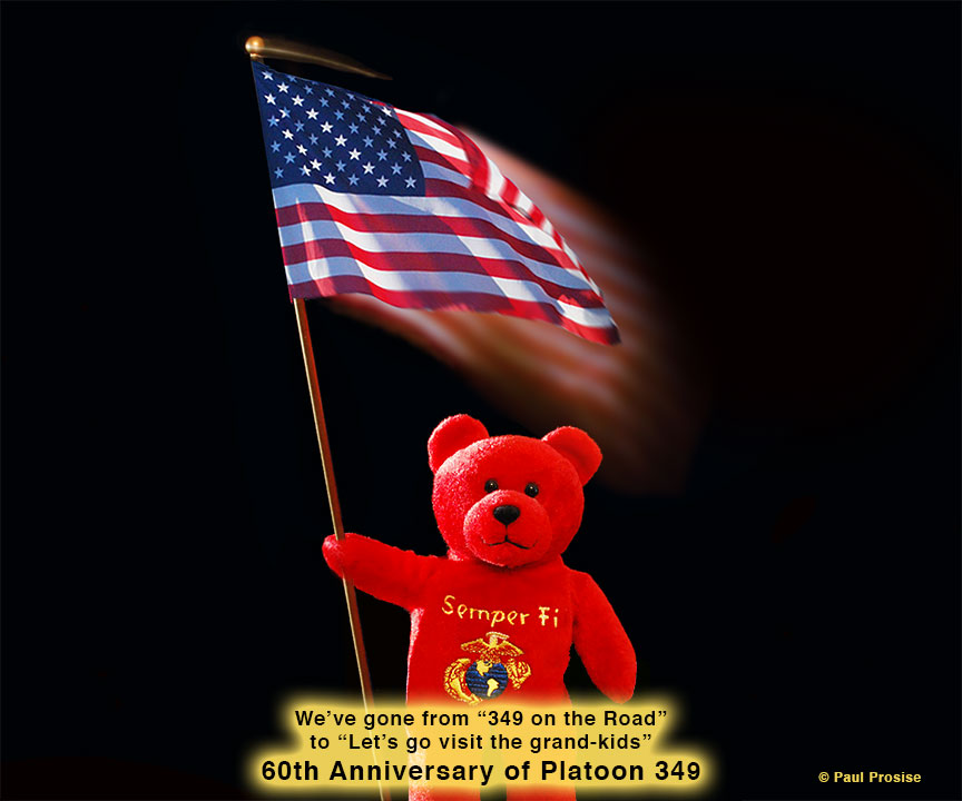 60th Anniversary Bear & Flag